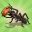 Download Pocket Ants: Colony Simulator  APK